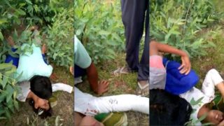 Desi Girl Jungle Gangbang Sex Video – Masa49 Sex